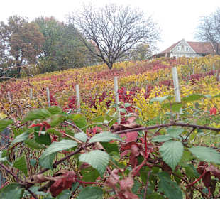 Wandern Bad Waltersdorf