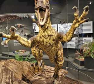 In der Abteilung der Dinosaurier