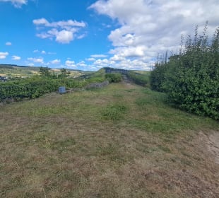 Ruine Kyrburg in Kirn