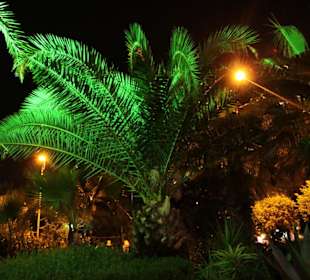 Alanya Gemeinde (Park)