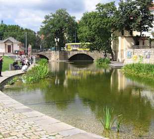 Stück Natur mitten in der Stadt