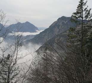 Ausblick