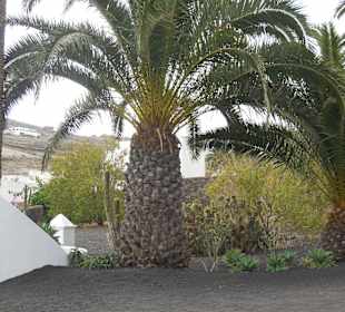 Museo Cesar Manrique