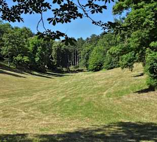 Blick in das Veilchental des Hofgartens