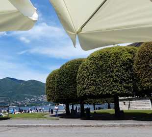 Gartenterrasse 