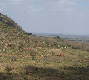 Ausblick von Lions Hill 