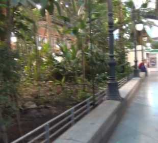 Atocha