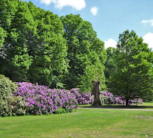 Rundgang durch den Hirschpark