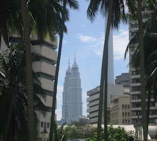 The Petrona Towers from a Park