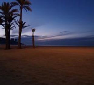 Marconfort Flamingo Playa - Playa de Levante