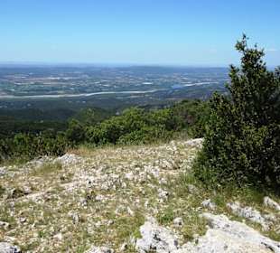 Blick vom Zedernwald in das Tal der Durance