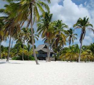 Karibische Traumlandschaft