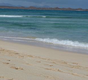 In den Dünen hat man seine Ruhe.