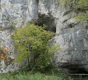 Im Nationalparks Plitvicka Jezera (Plitvicer Seen)