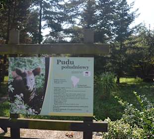 Zoo