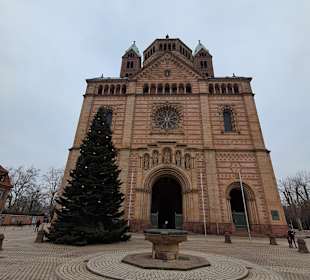 Dom zu Speyer in Speyer