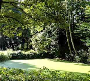 Herbstspaziergang durch Knoops Park