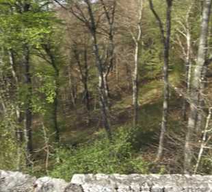 Wanderweg Hochgehswiggert