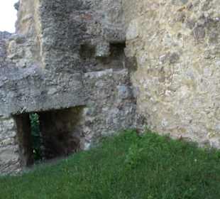 Burgruine Niederhaus