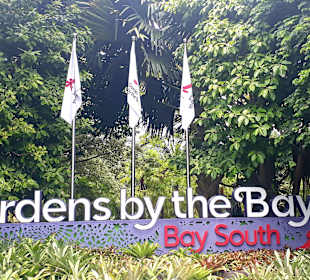 Gardens by the Bay
