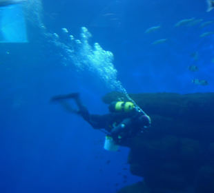 Fütterung beginnt gleich