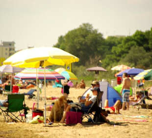 Hundestrand an einem Samstag