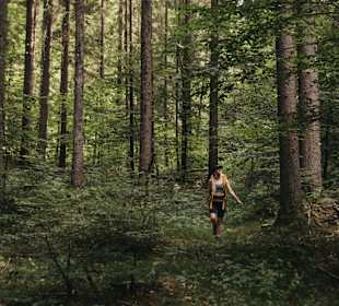 Wandern Oberaichwald