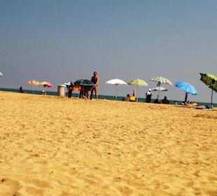 Der Hundestrand dei Pini