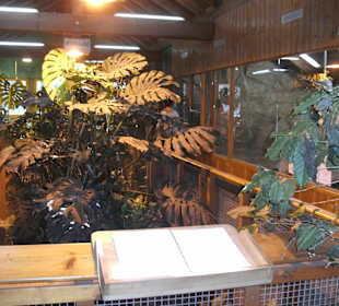 Tropenhaus