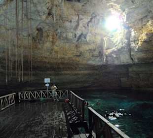 Schwimmen in Cenote