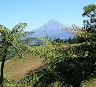 Mount Taranaki bei New Plymouth