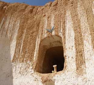 Mieszkanie Berberów