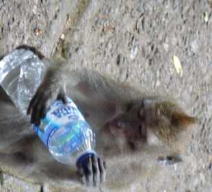 Wie geht die nochmal auf?