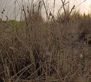 Wandern Cavallino-Treporti
