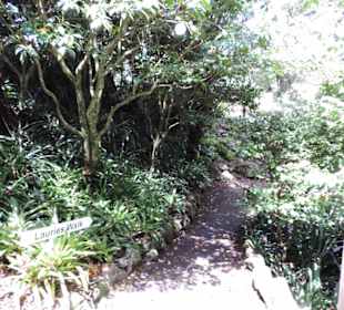 Eden Garden ein Paradies mitten in der Stadt