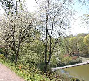 Schloss Berlebeburg Schlossgarten