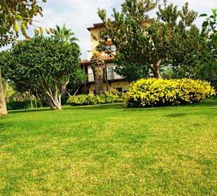 Inspirationen an d.Strandprom.entlang Nov.2010