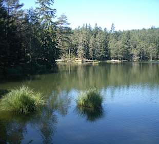 Mösernsee, ganz in der Nähe