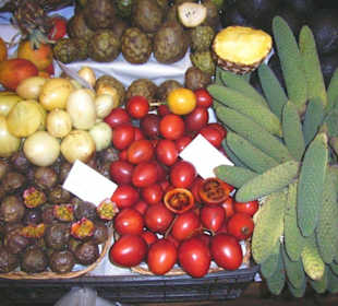 Mercado dos Lavradores
