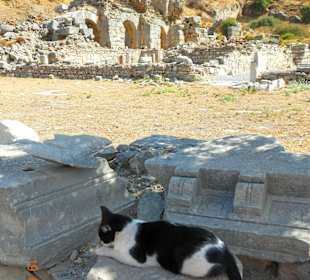 Blick auf die römische Badeanlage