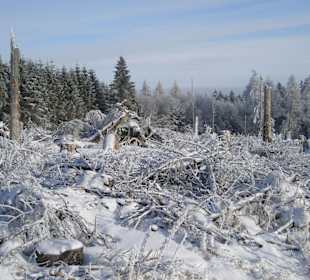 Umgebung in direkter Nähe