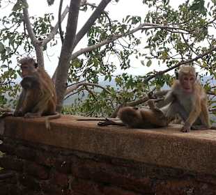 Sigiriya