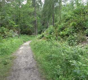 Wanderweg Märchensee Runde