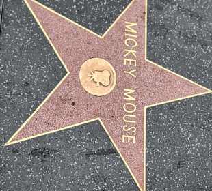 Hollywood