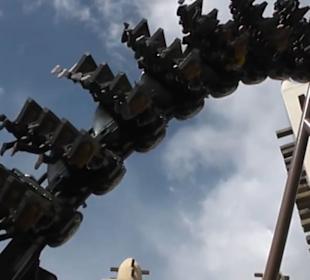 Deep in Africa - Black Mamba