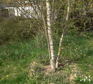 Bürgerpark Herrschaftsgärten