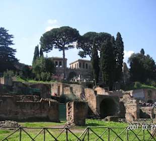 Blick auf den Palatin vom Forum Romanum
