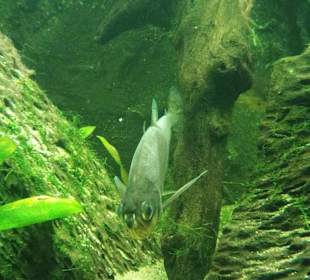 Zoo Wrocław