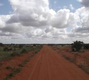 Rote Erde von Tsavo Ost
