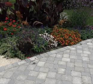 Blühendes Neresheim